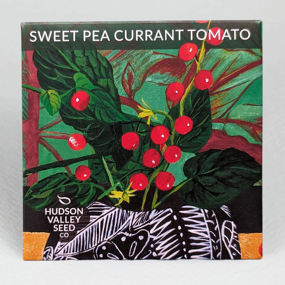 HV Sweet Pea Currant Tomato
